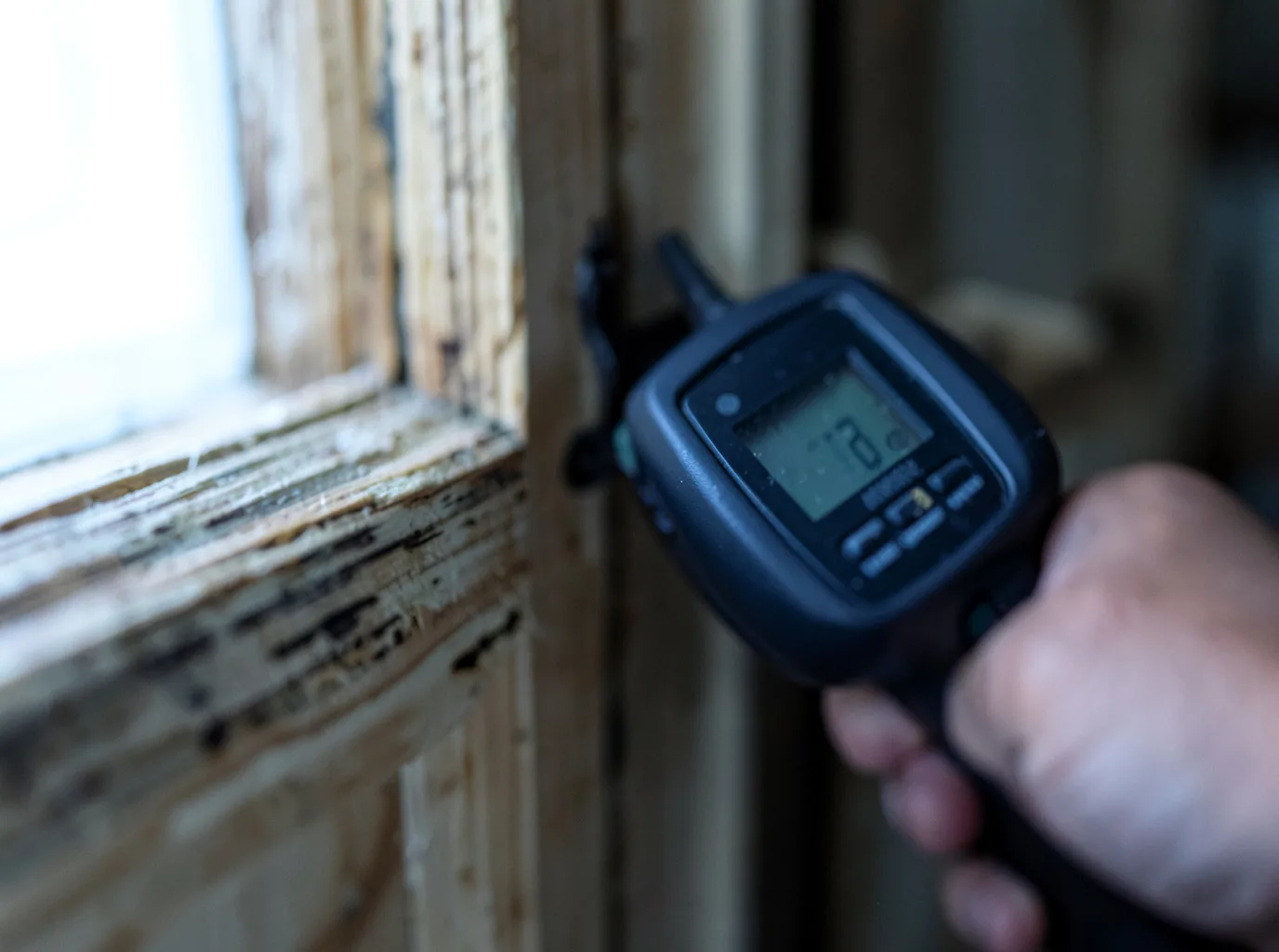 Moisture Inspection And Documentation in Randle, WA